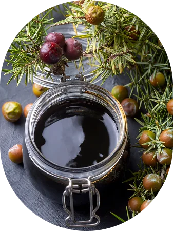 Balsamic Vinegar