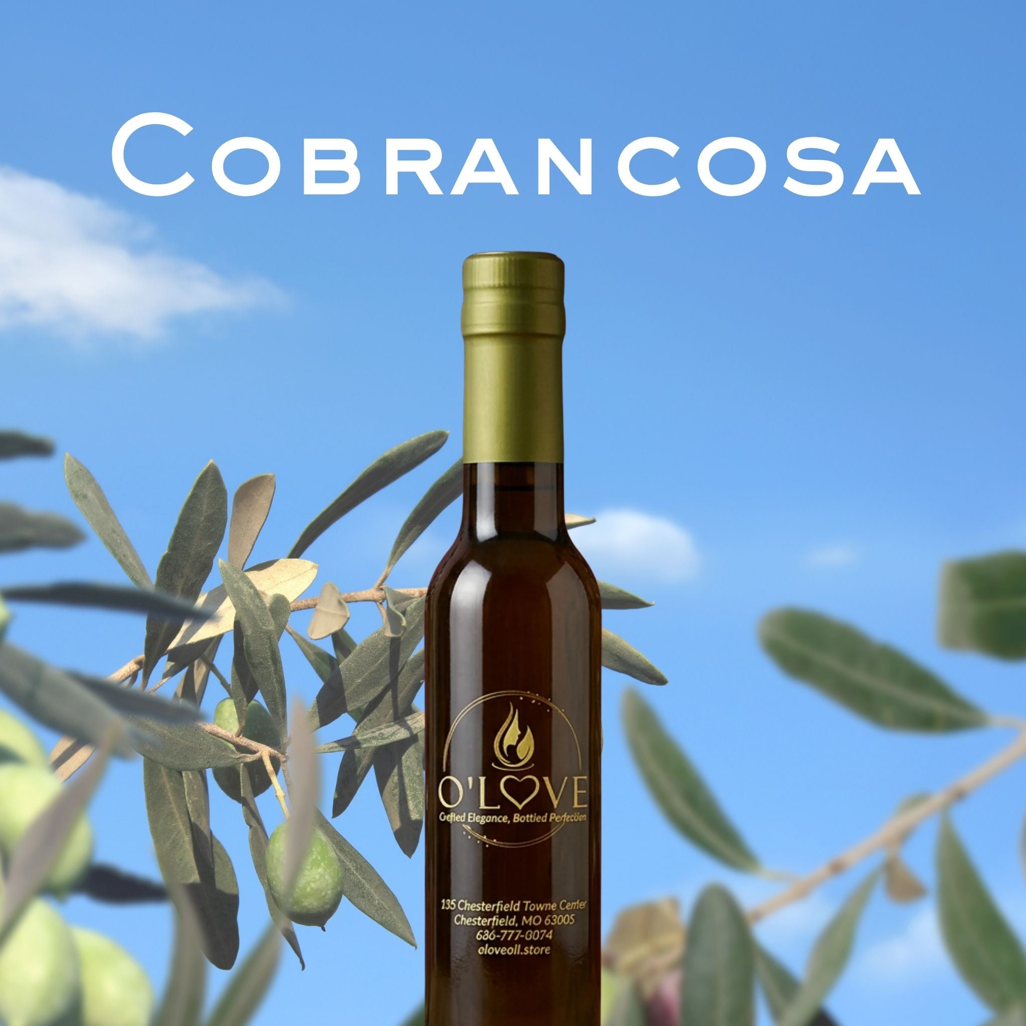 Cobrancosa Extra Virgin Olive Oil
