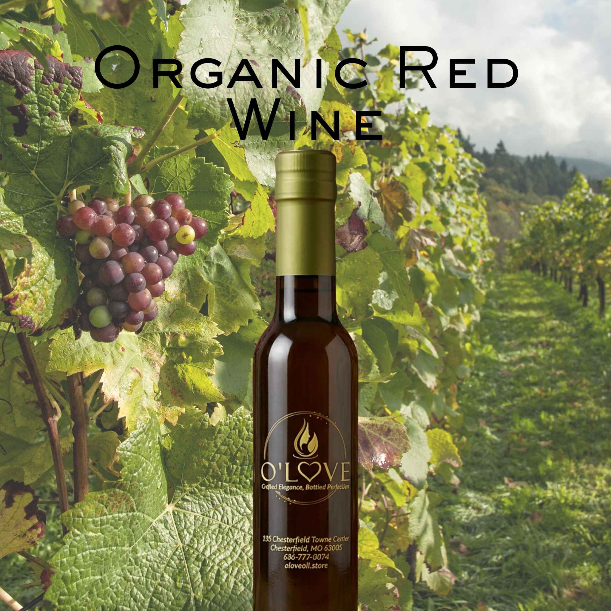 Organic Red Wine Vinegar